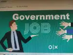 Jobs in all bihar