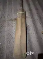 Cricket bat