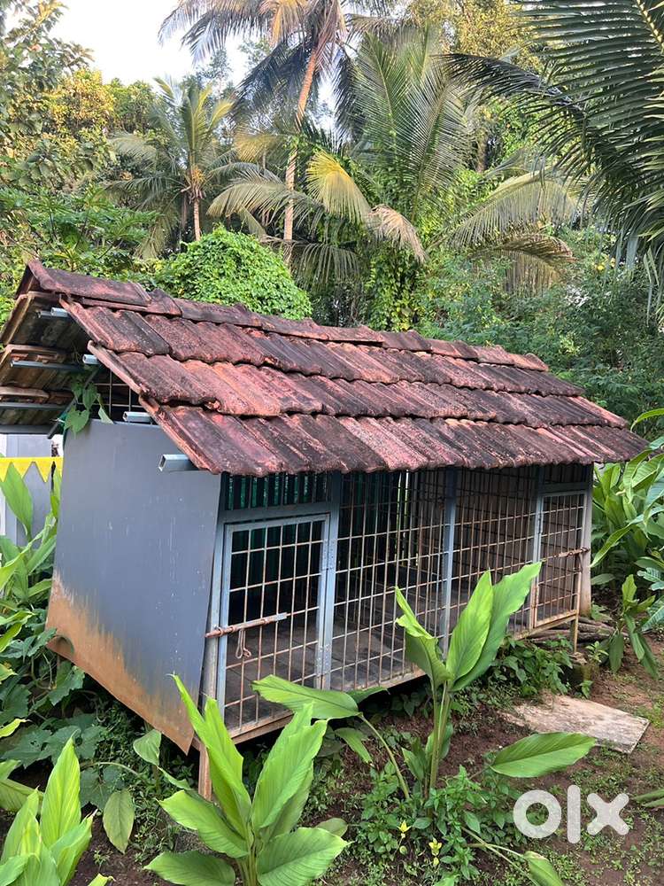 Dog Koodu / Dog Cage