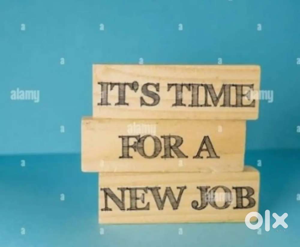 Vacancy for back office executive