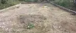 150 gaj plot chopra colony Gohana