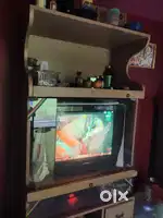53 CM samsung