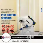 Pest Control କାମ କରିବା ପାଇଁ ପିଲା ଆବଶ୍ୟକ