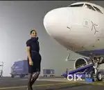 Jobs in Indigo airlines apply fast