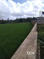5 acre agriculture land for sale. Entrance from highway.
