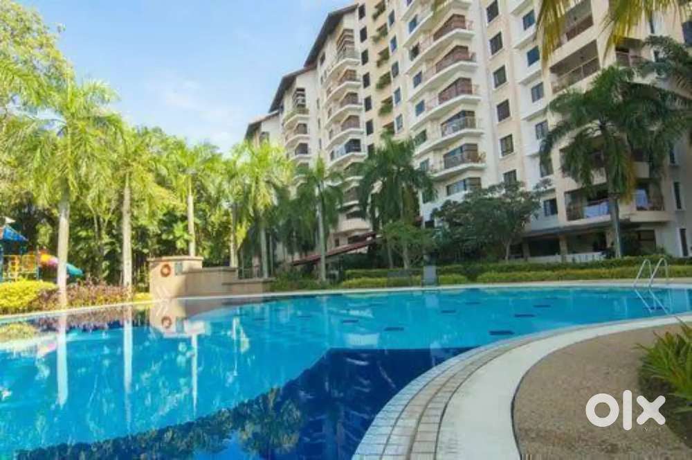 Beautiful 2 bhk furnished high rise flat near Alap Green City,Raiya Rd