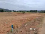 1.25 lacks only Per cent Farmland minimum 20 cents for sale
