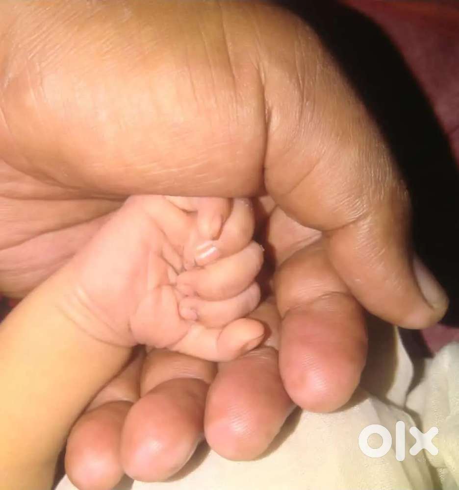 5 Acer Farming Land for Sale