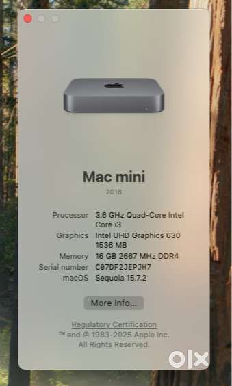Apple Mac mini