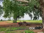 1 Bigha Farm House Land For Sale 20 Km From Jodhpur In Farm House Area