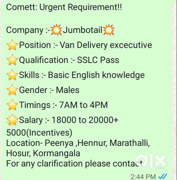 Van Delivery Executive