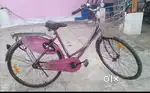Lady bird bicycle