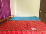 1BHK APARTMENT FOR RENT KAKKANAD NEAR  INFOPARK WALKABLE DISTANCE
