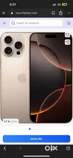13 pro max
