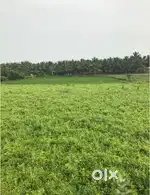 1 acer land for sale