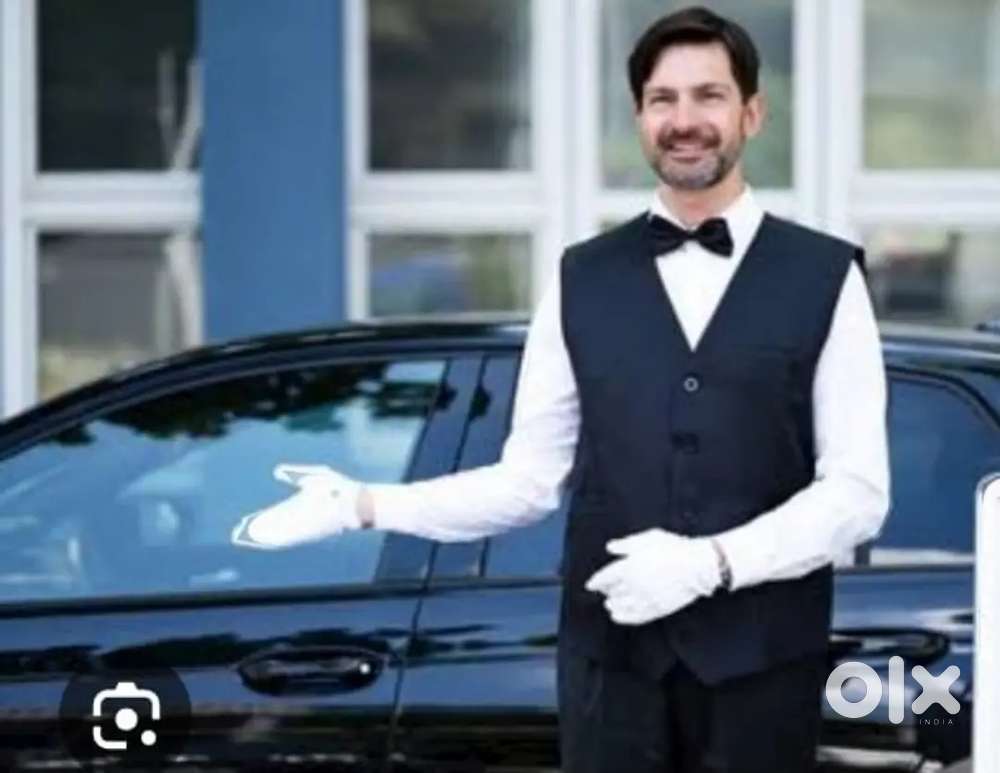 COMPANY NEET PERSONAL 5 DRIVER :LADIE DOCTOR /COMPANY OWNER/ADVOCATE