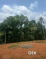 അരിക്കുഴ ഭാഗത്ത് 22 cent House Plot വിൽപ്പനയ്ക്ക്