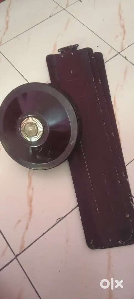 Orient ceiling fan