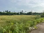 Rajulathalavalasa