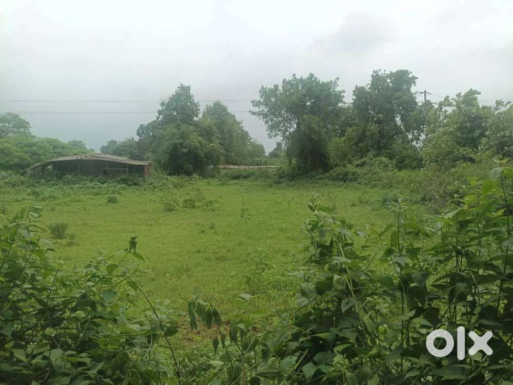 plot is for agricultural land,it is located near Gerase road