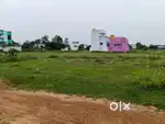 Patta land for sale in Redhills Vijayalakshmi nagar