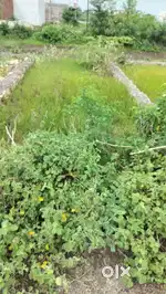 Rituraj hotal k samne .purani chhawani chauraha