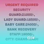 All Security Jobs Chandigarh 17