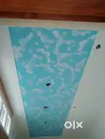 House painting and apartment painting at reasonable price