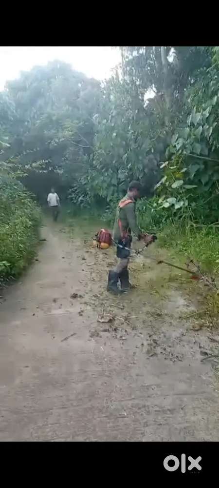 Kasaragod പുല്ല് വെട്ടി കൊടുക്കുന്നു ഒരു മണിക്കൂറിന് 250