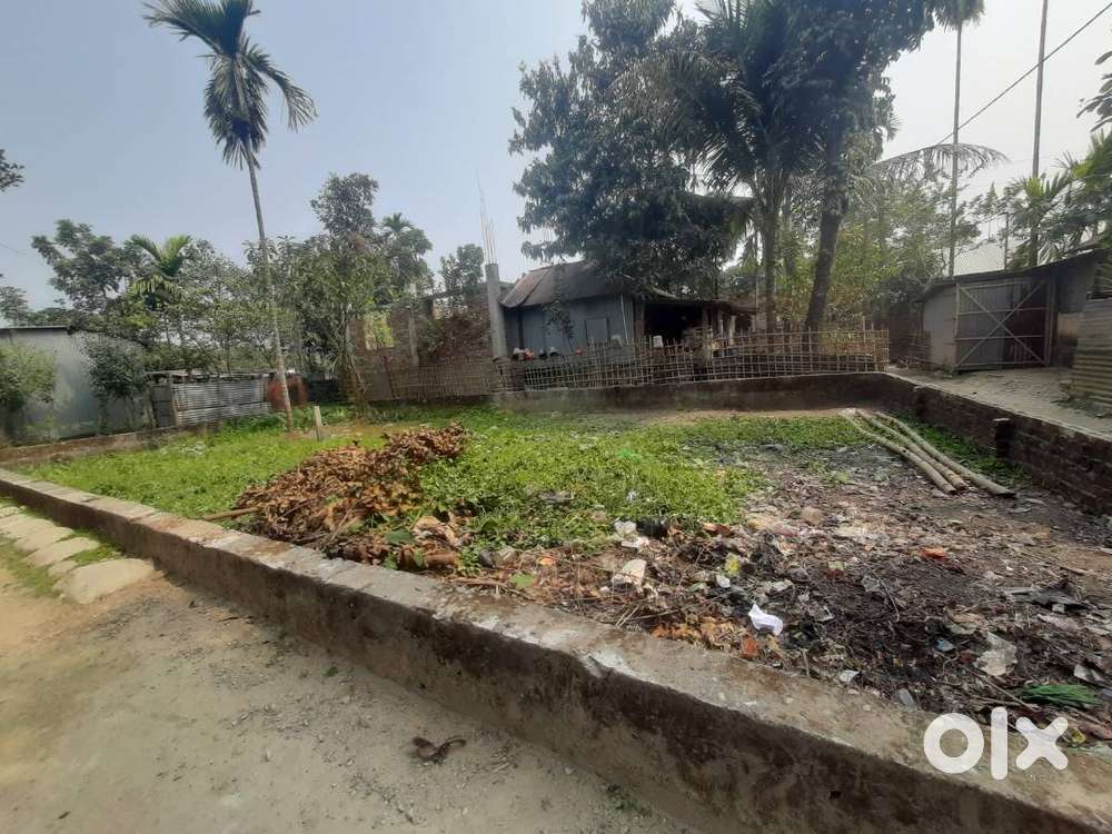 Ghosh para,Netajee road,Alipurduar