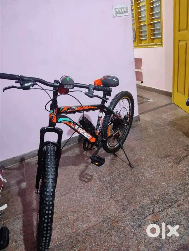 Multispeed Beast Bicycle