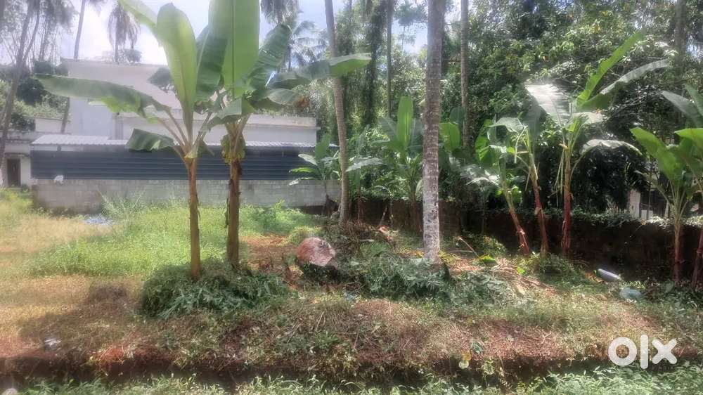 Kakancheri pallikkal highway 500meter distance