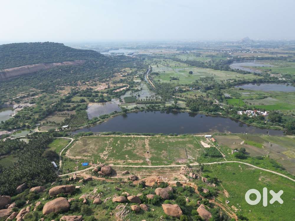 Farm house and resort