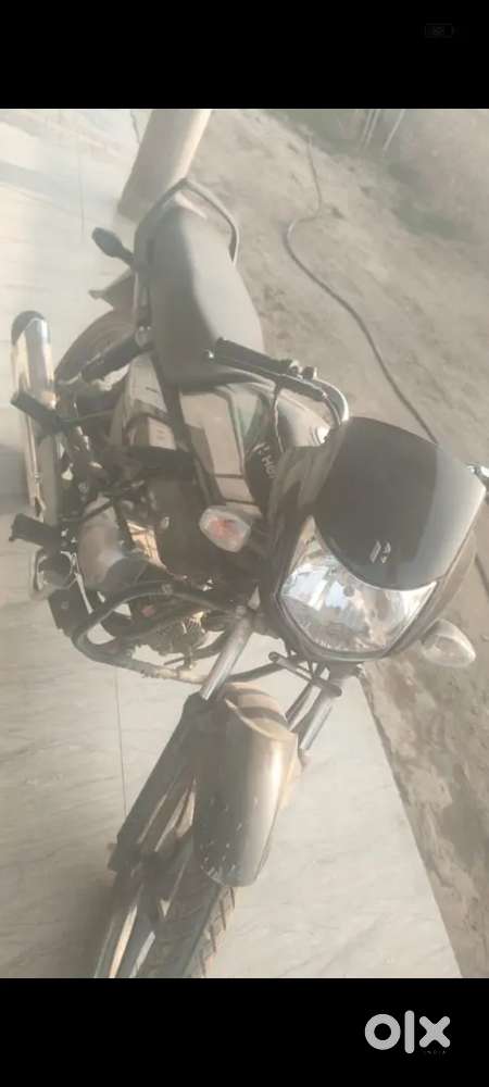 Hero cd delx bike 2024 model