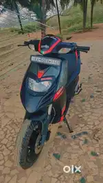 Bengalore, wilsongarden