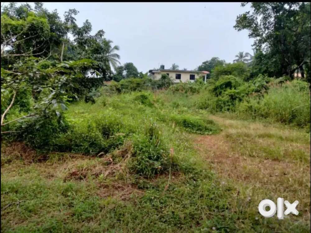 Plot on urgent  sale