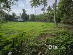19 cent plot, (house plot) for sale in Thuravoor, Ernakulam