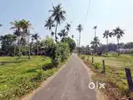 3Cent 4Cent Plots For Sale In Neericode Near Kongropilly Varapuzha