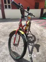 Cycle for below 10 years
