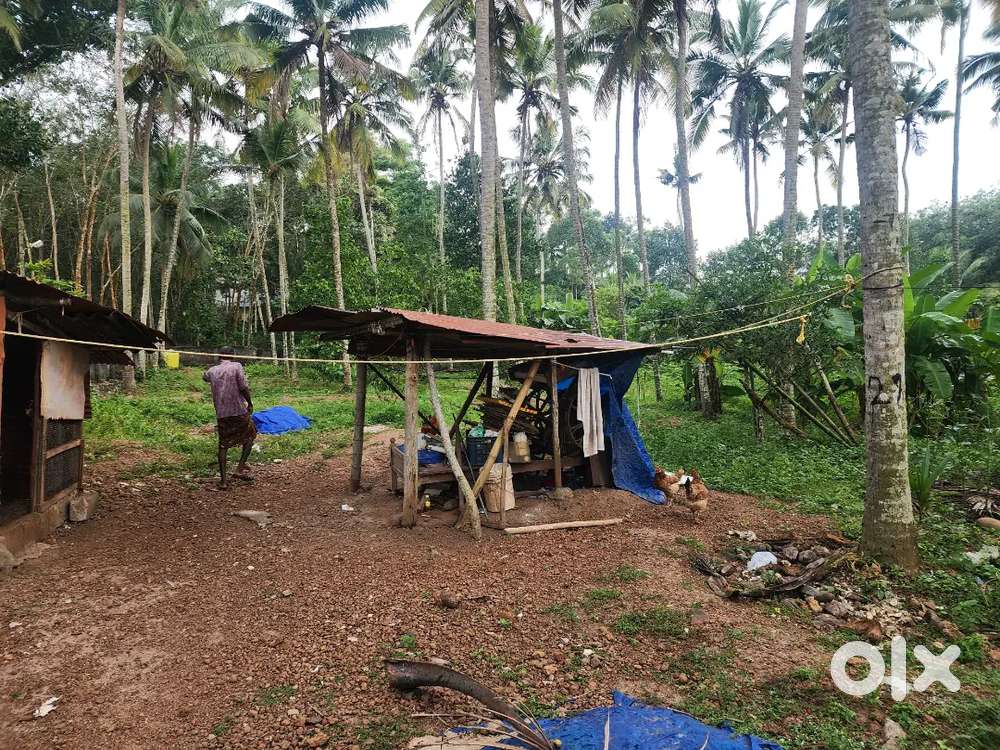 River front 1 acre property near Aruvikkara Dam with compound wall