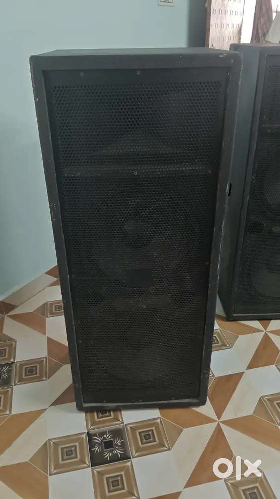 Heavy speaker 15 inch