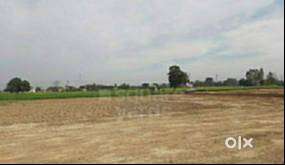 Lalru 3 canal property