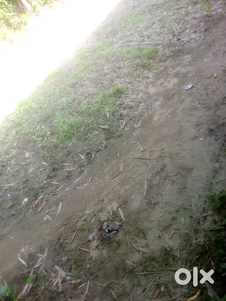 3katha myadi land sale