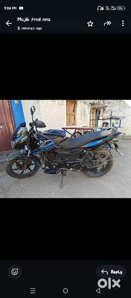 TN 73 bike Very lite use pulser 150 single disc