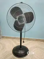V guard StandFan