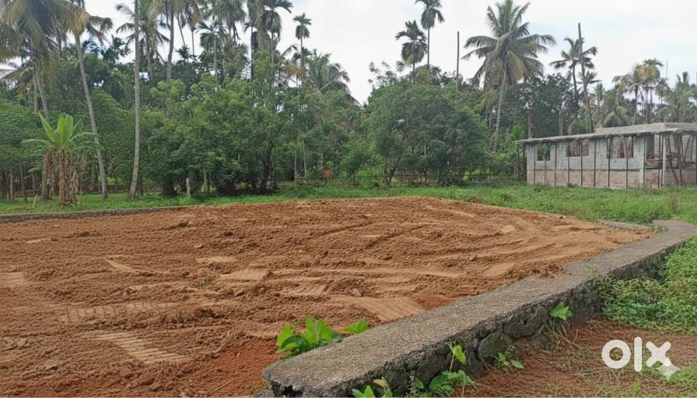 4cent for Sale at Kakkanad, Thuthiyoor