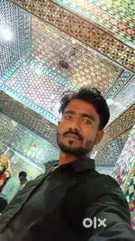 Driver  up 56 gorkhpur