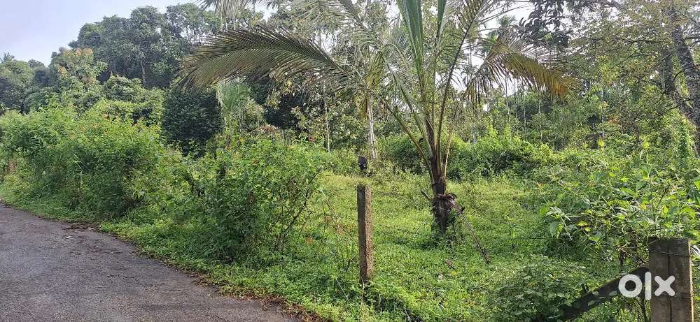 10 Cents of land for sale at Sulthan Bathery (Dhottapankulam)