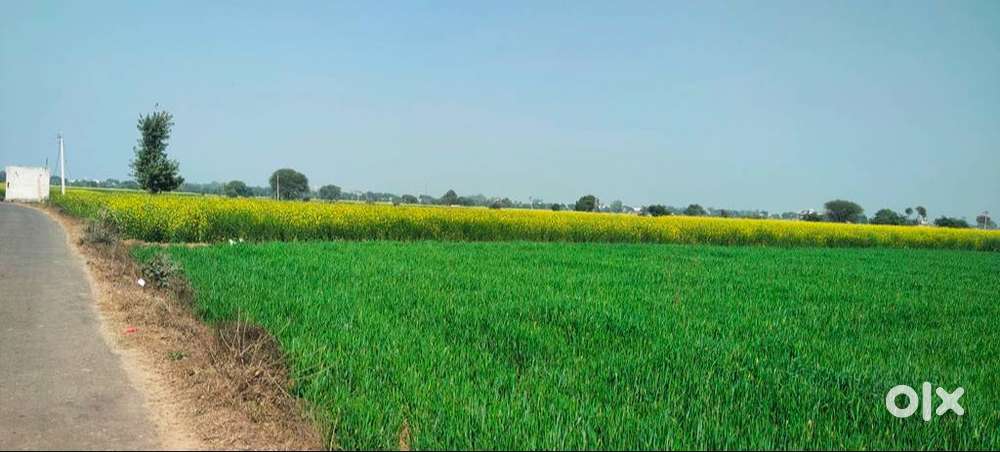 Agriculture/ Commercial - 3 Bigha Land for sale