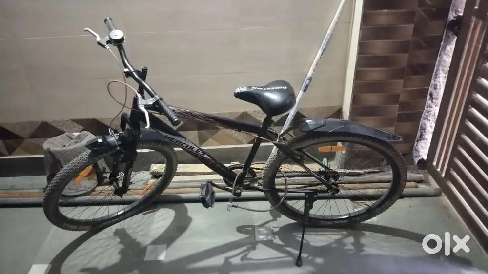 One year old new cycle